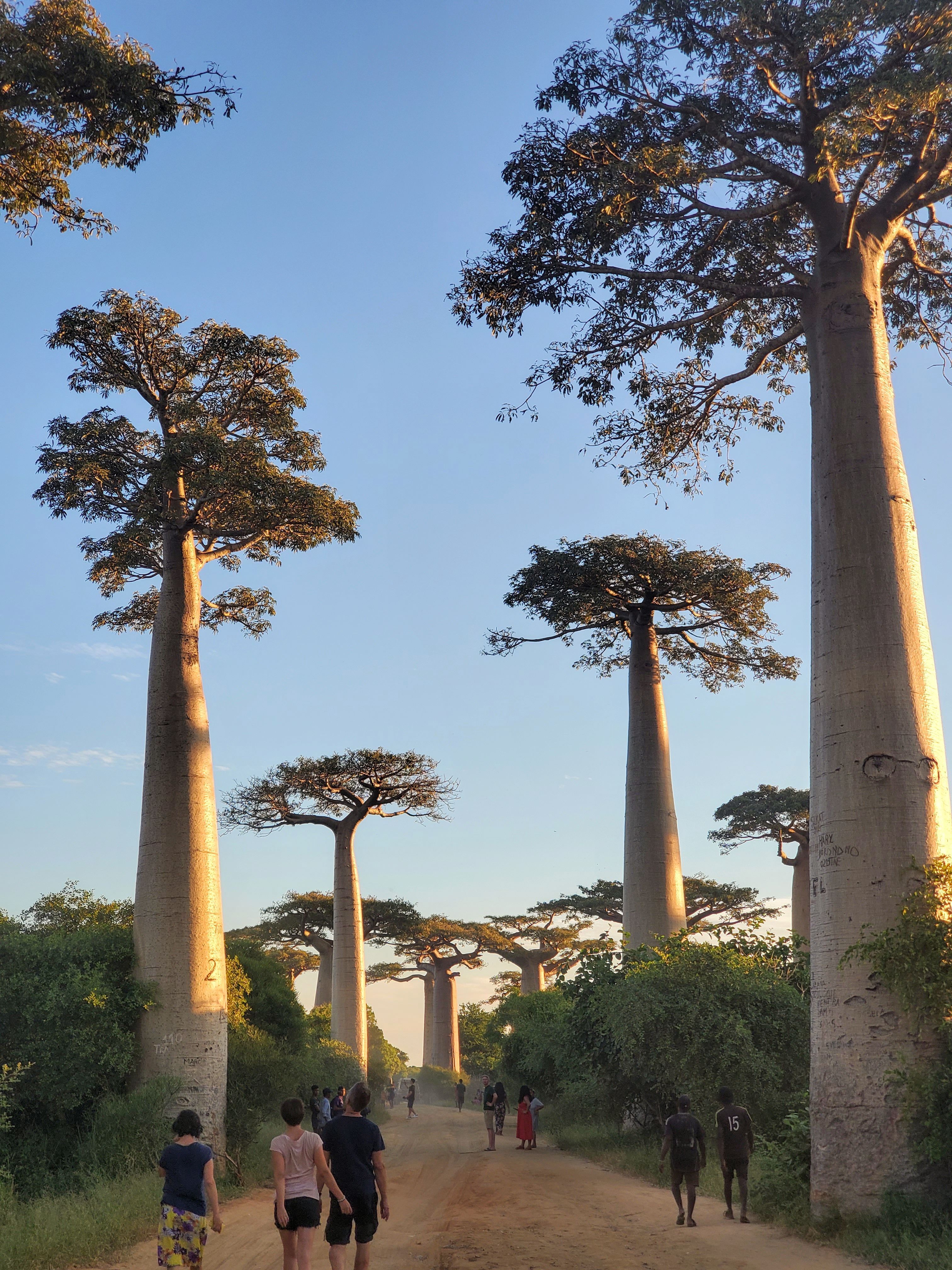 update tourisme Madagascar