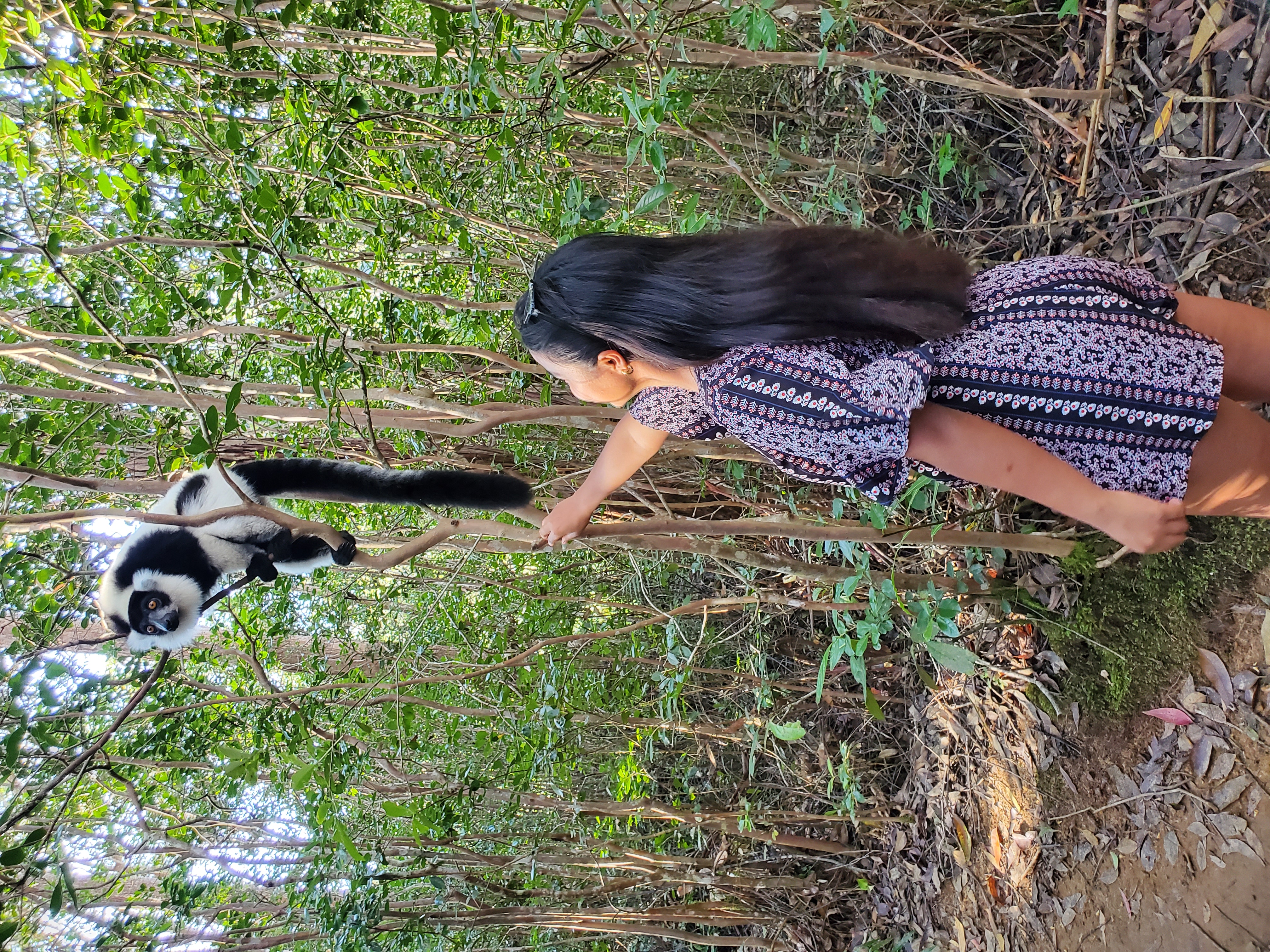 update tourisme Madagascar