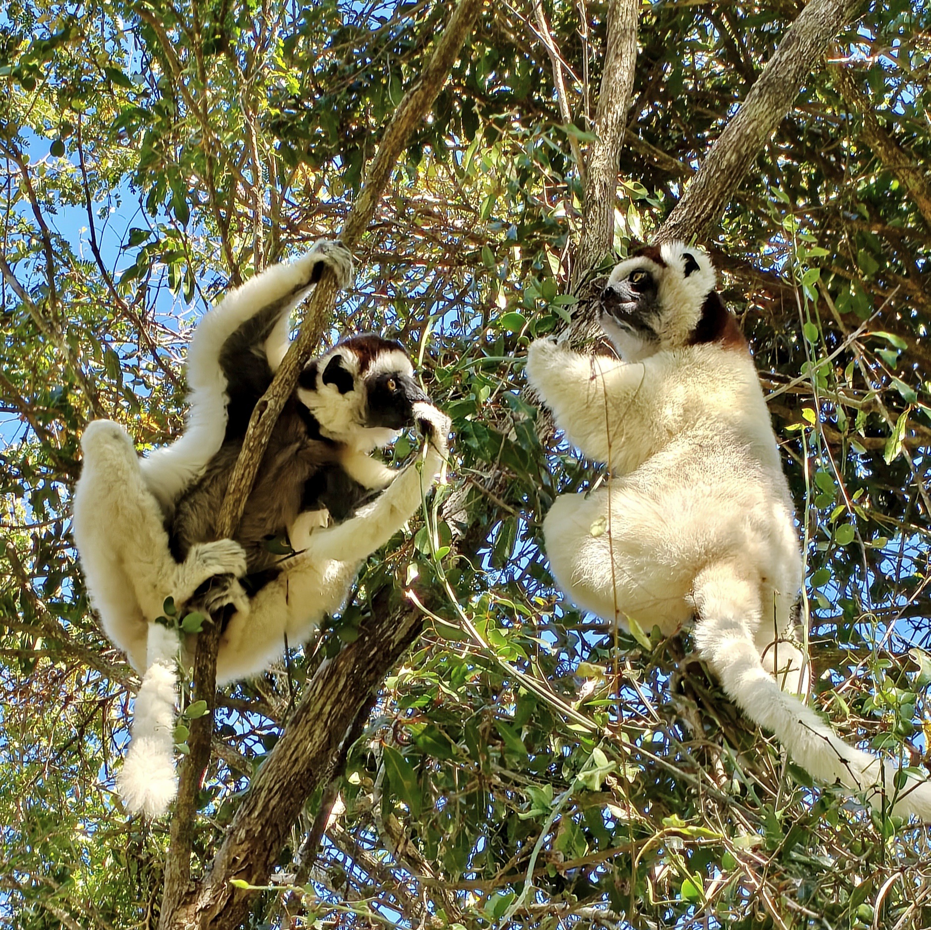 update tourisme Madagascar