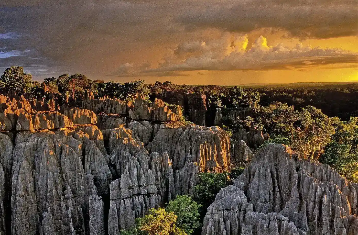 Tsingy Bemaraha, Tsingy to ifaty Tour